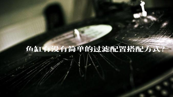 鱼缸有没有简单的过滤配置搭配方式？